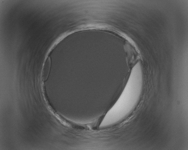 X0000082941373200702222235