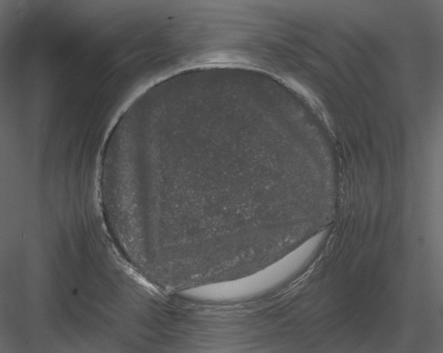 X0000082941374200702222235