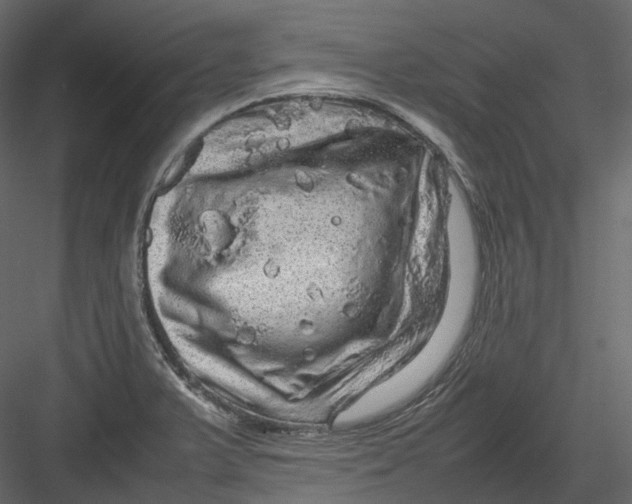 X0000082941375200702222235