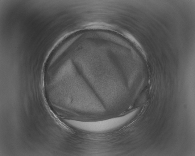 X0000082941376200702222235