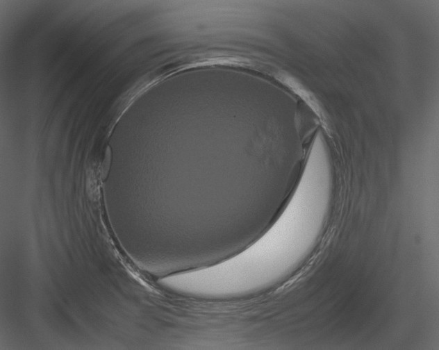 X0000082941377200702222235