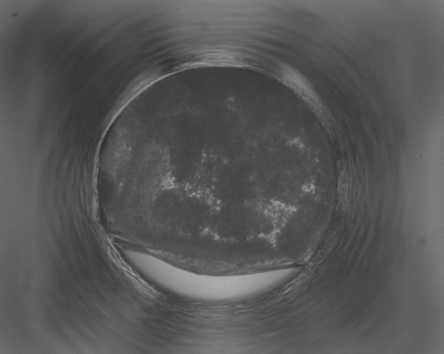 X0000082941378200702222235