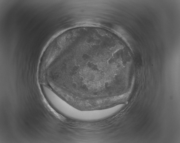 X0000082941379200702222235