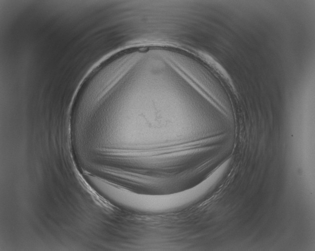 X0000082941380200702222235