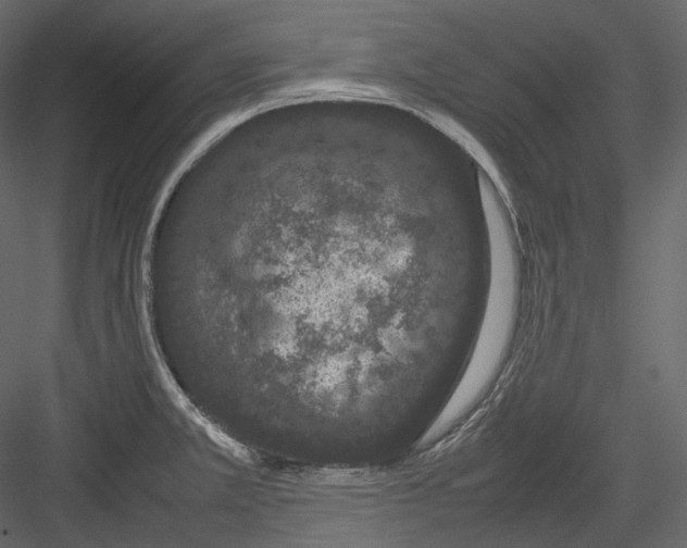 X0000082941381200702222235