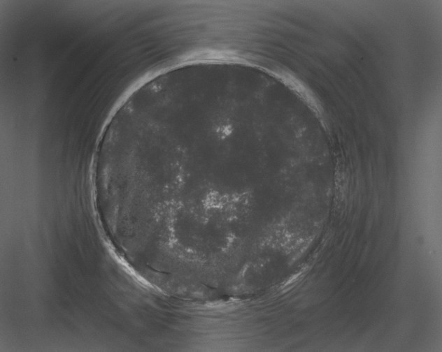 X0000082941382200702222235