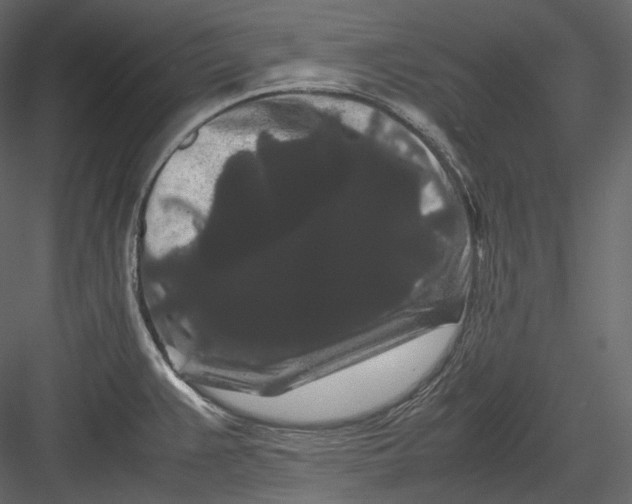 X0000082941383200702222235