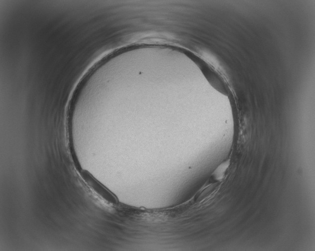 X0000082941384200702222235