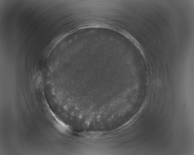 X0000082941385200702222235