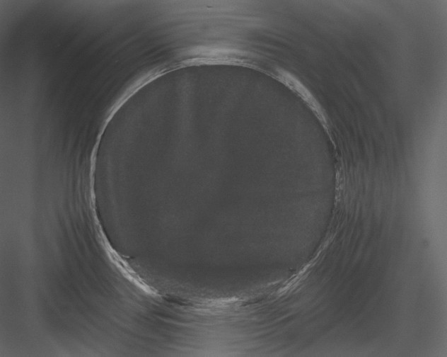 X0000082941386200702222235