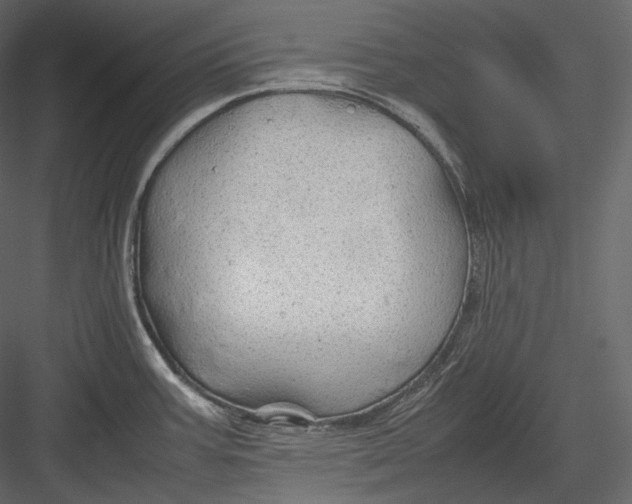 X0000082941387200702222235