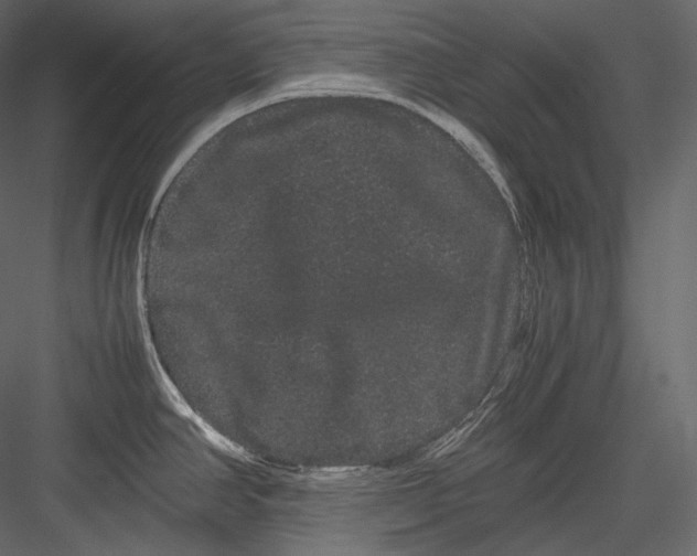 X0000082941390200702222235