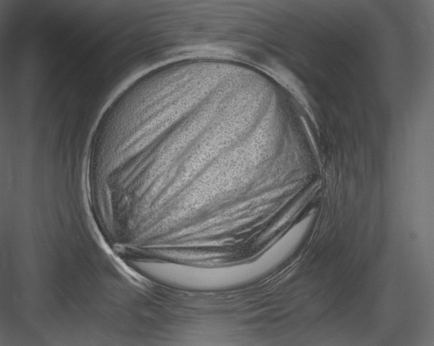 X0000082941391200702222235