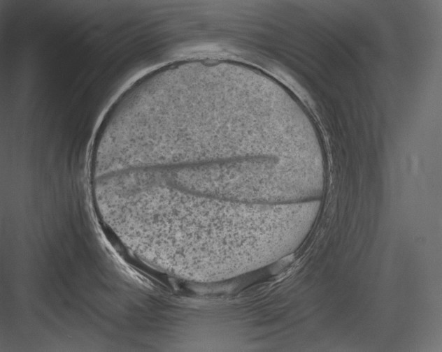 X0000082941392200702222235