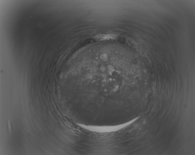 X0000082941393200702222234