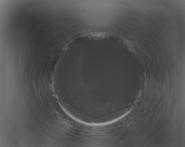 X0000082941394200702222234