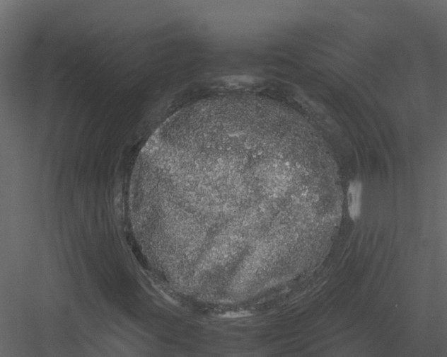 X0000082941395200702222234