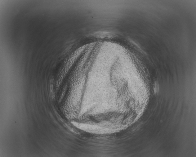 X0000082941396200702222234