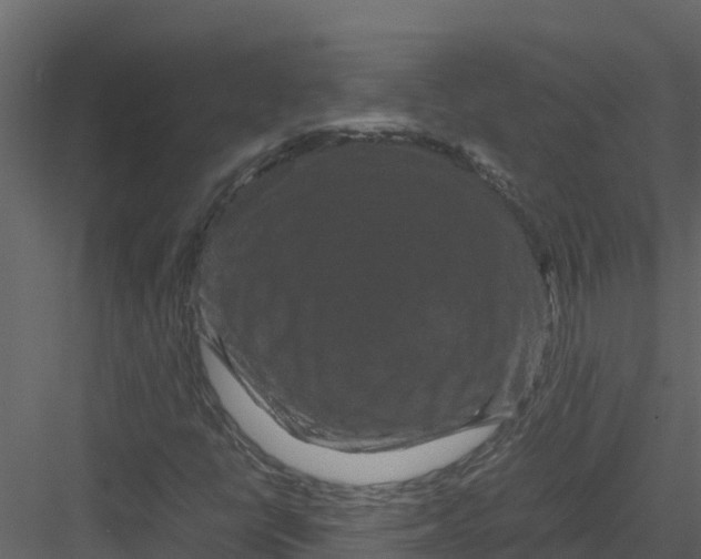 X0000082941398200702222234