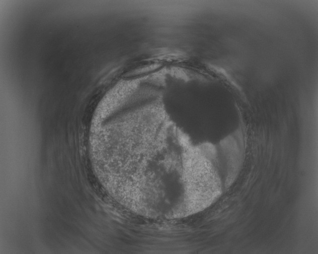 X0000082941399200702222234