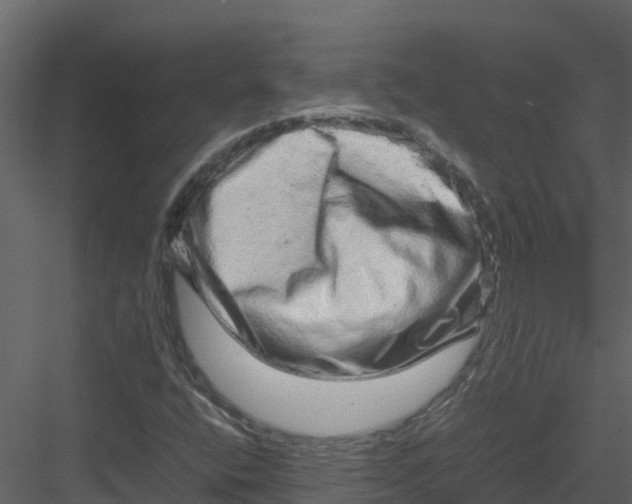 X0000082941400200702222234