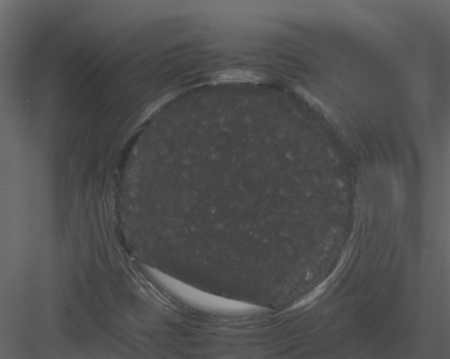 X0000082941401200702222234