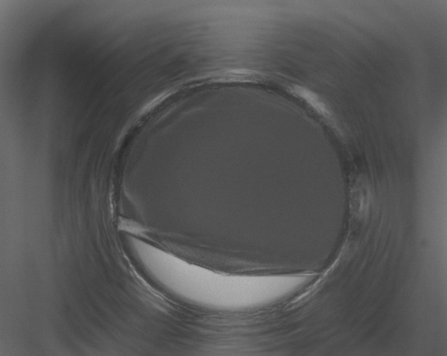 X0000082941402200702222234