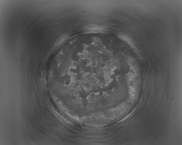 X0000082941403200702222234