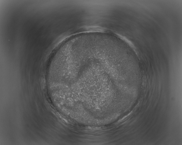 X0000082941407200702222234