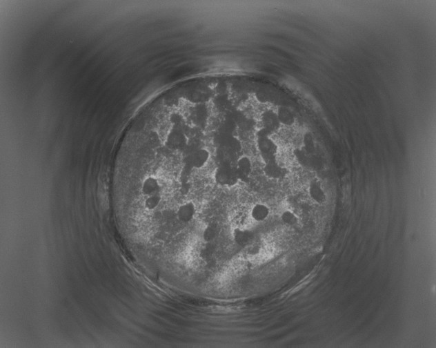 X0000082941409200702222234