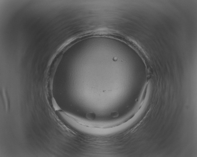 X0000082941410200702222234