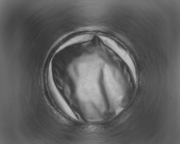 X0000082941412200702222234