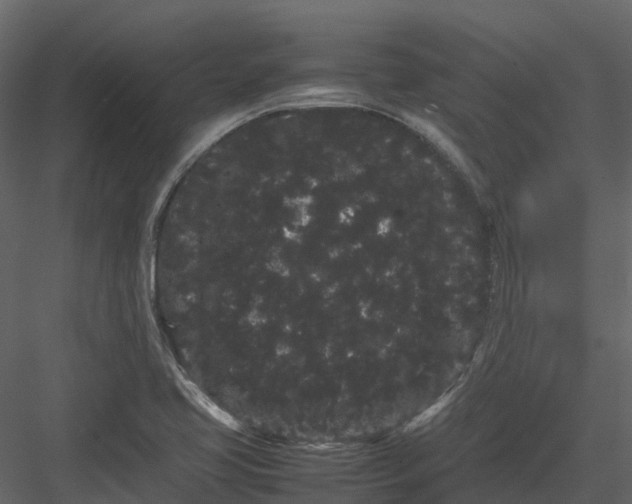 X0000082941413200702222234