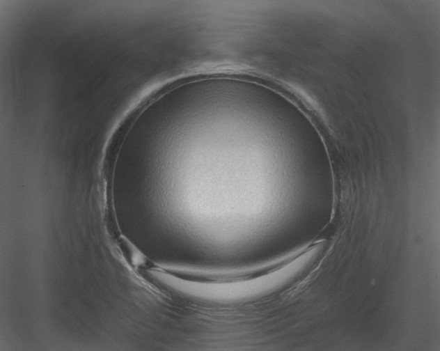 X0000082941414200702222235