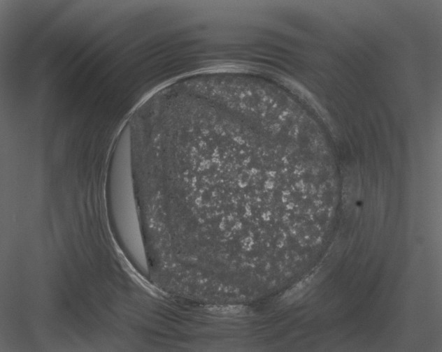 X0000082941417200702222235