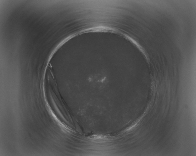 X0000082941418200702222235