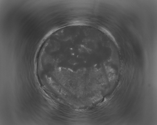 X0000082941419200702222235