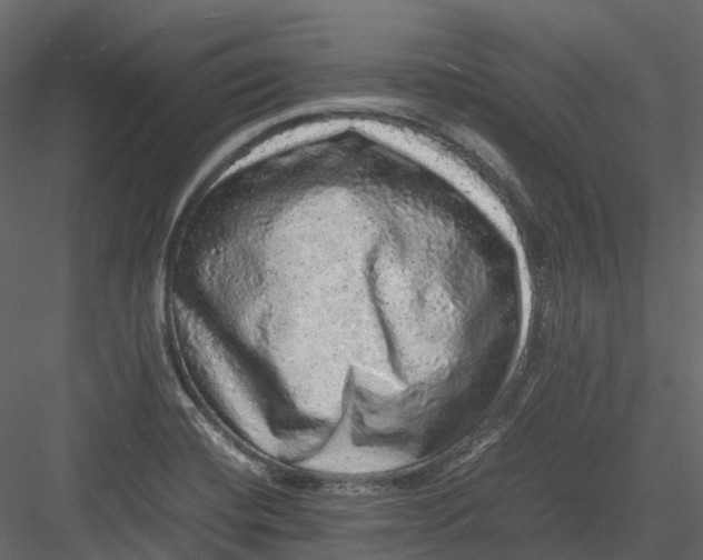 X0000082941420200702222235