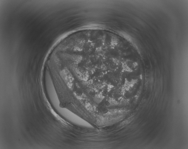 X0000082941421200702222235