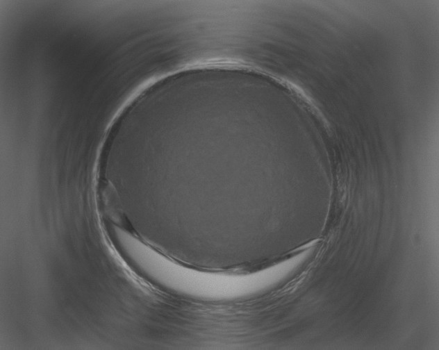 X0000082941422200702222235