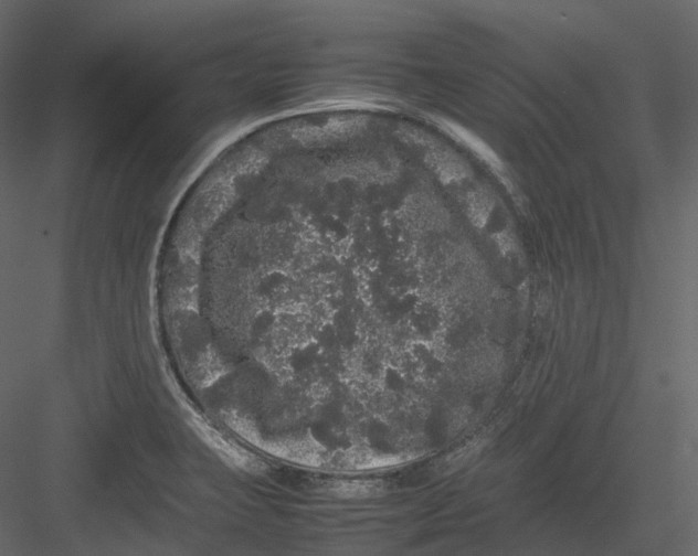 X0000082941423200702222235