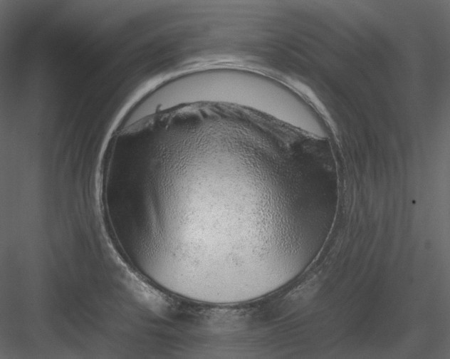 X0000082941424200702222235