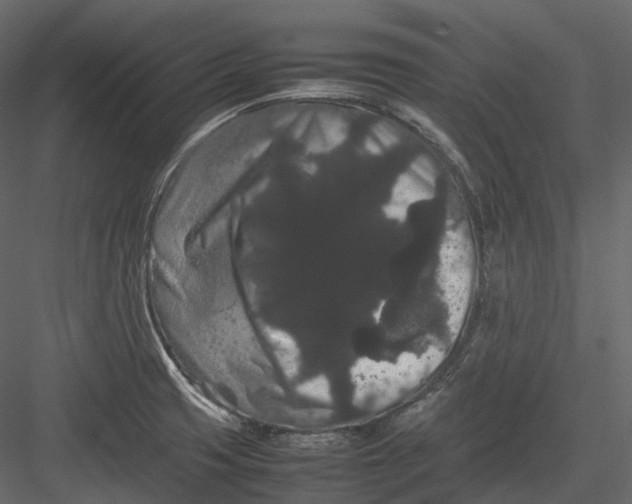 X0000082941425200702222235