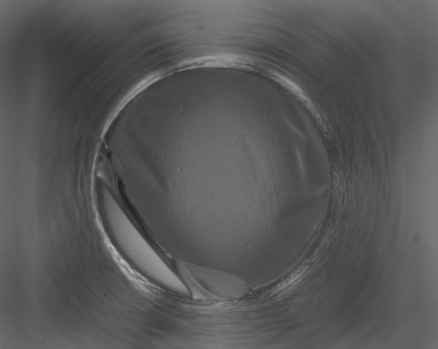 X0000082941426200702222235