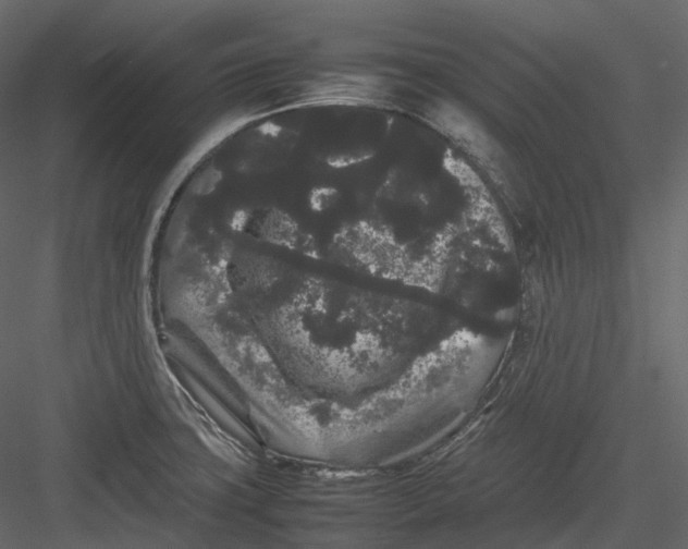 X0000082941427200702222235