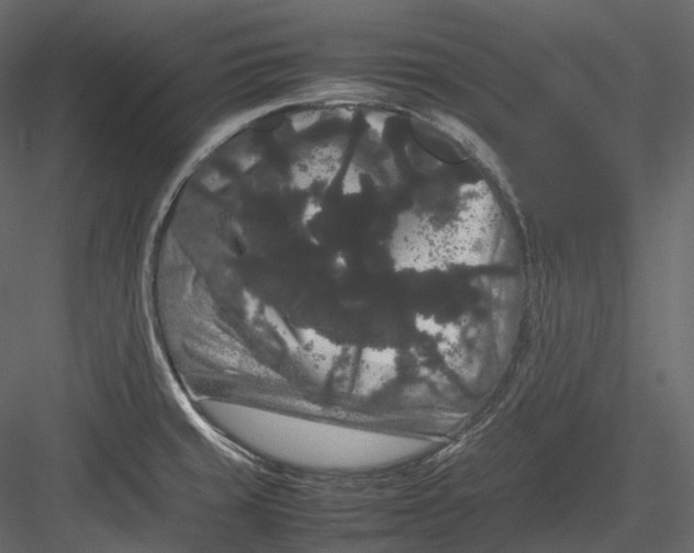 X0000082941429200702222235