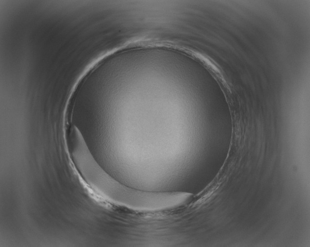 X0000082941430200702222235