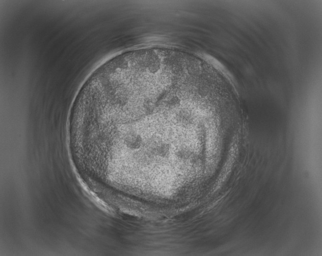 X0000082941431200702222235