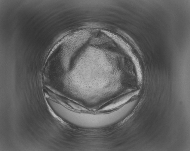 X0000082941433200702222235