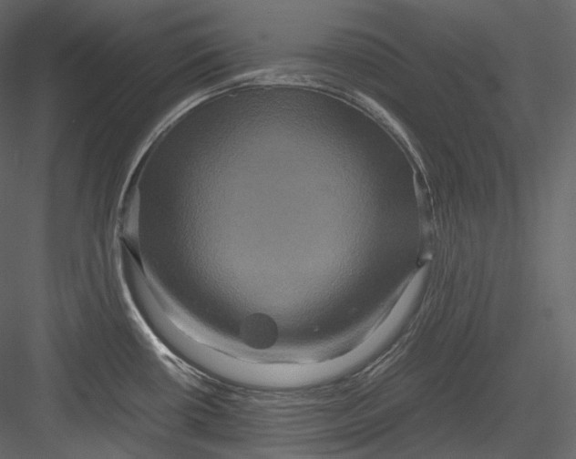 X0000082941434200702222235